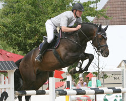 Der sechsjährige Hengst Catoki's Cannon (v. Catoki) - hier unter seinem bisherigen Reiter SAteffen Schott - wurde bei der Magna Racino Tour im österreichischen Erbreichsdorf Gesamtsieger und Champion der sechsjährigen Pferde. Foto: Wego Der sechsjährige Hengst Catoki's Cannon (v. Catoki) - hier unter seinem bisherigen Reiter Steffen Schott - wurde bei der Magna Racino Tour im österreichischen Erbreichsdorf Gesamtsieger und Champion der sechsjährigen Pferde. Foto: Wego